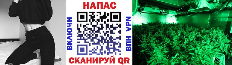 Продажа наркотиков Беслан СК  Кокаин  ГАШИШ  Псилоцибиновые грибы  Конопля 