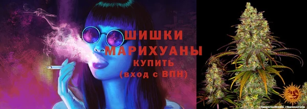 шишки Яранск