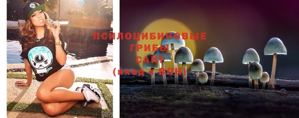 PSILOCYBIN Янаул