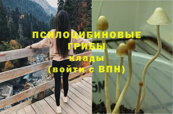 PSILOCYBIN Янаул