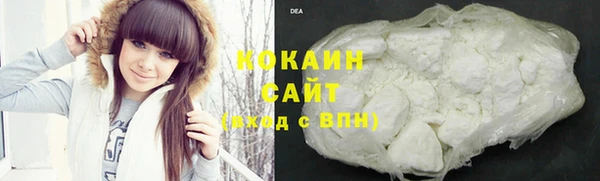 шишки Яранск