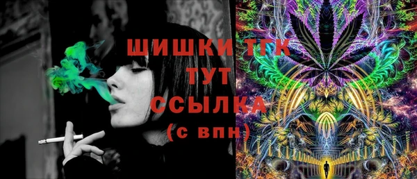 шишки Яранск