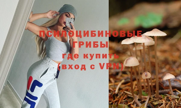 шишки Яранск