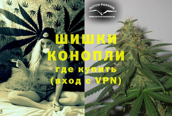 PSILOCYBIN Янаул
