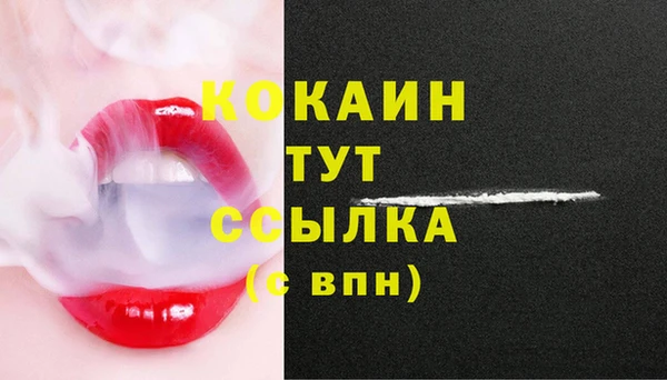 PSILOCYBIN Янаул