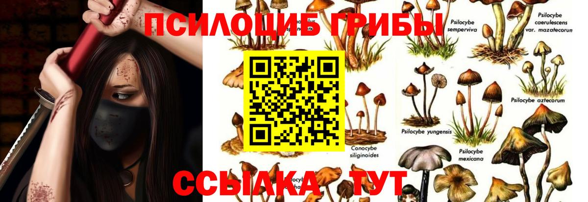 Галлюциногенные грибы MAGIC MUSHROOMS Беслан