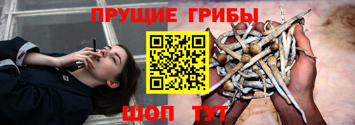 Беслан  Псилоцибиновые грибы прущие грибы  Псилоцибиновые грибы Magic Shrooms  Вход с VPN 